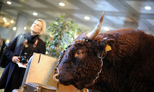 點(diǎn)擊瀏覽下一頁(yè)