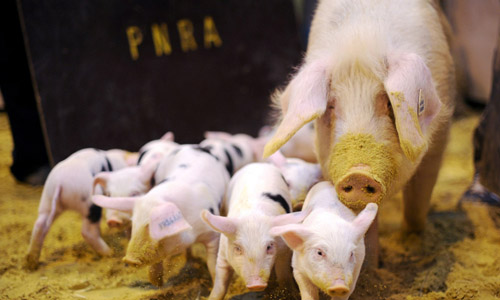 點(diǎn)擊瀏覽下一頁(yè)