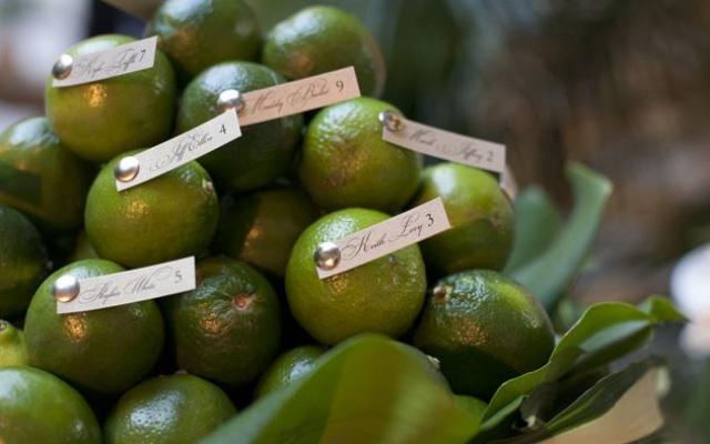 巧思妙想：非常有趣的一個(gè)擺放提示卡的方法：黛比將客人的姓名和桌號(hào)插到了新鮮的萊姆果上；?