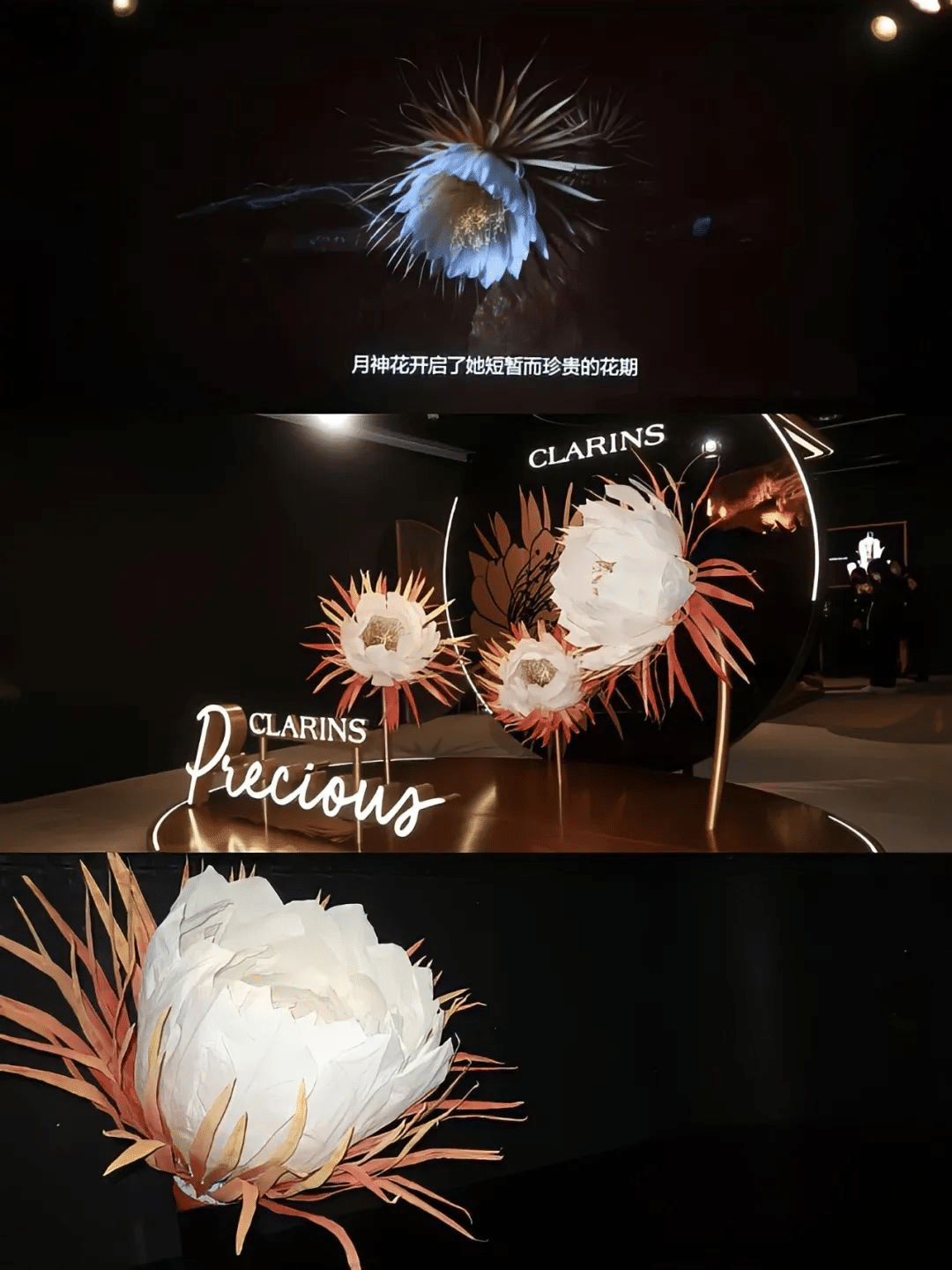 「凝時(shí)之境」嬌韻詩至臻凝時(shí)系列限時(shí)體驗(yàn)展